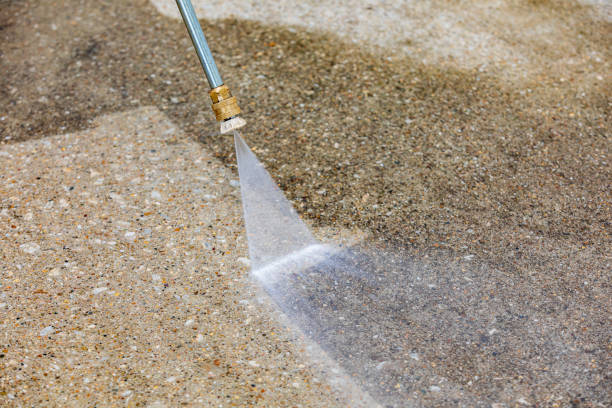 Best Driveway Pressure Washing  in Albertville, MN